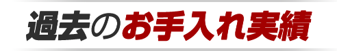 過去のお手入れ実績