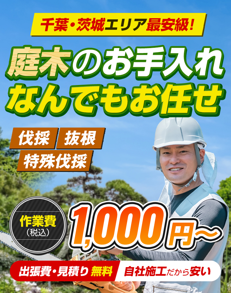 千葉・茨城エリア最安級　庭木のお手入れなんでもお任せ　作業費（税込）1,000円～　出張費・見積り無料　自社施工だから安い