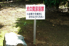 悪臭